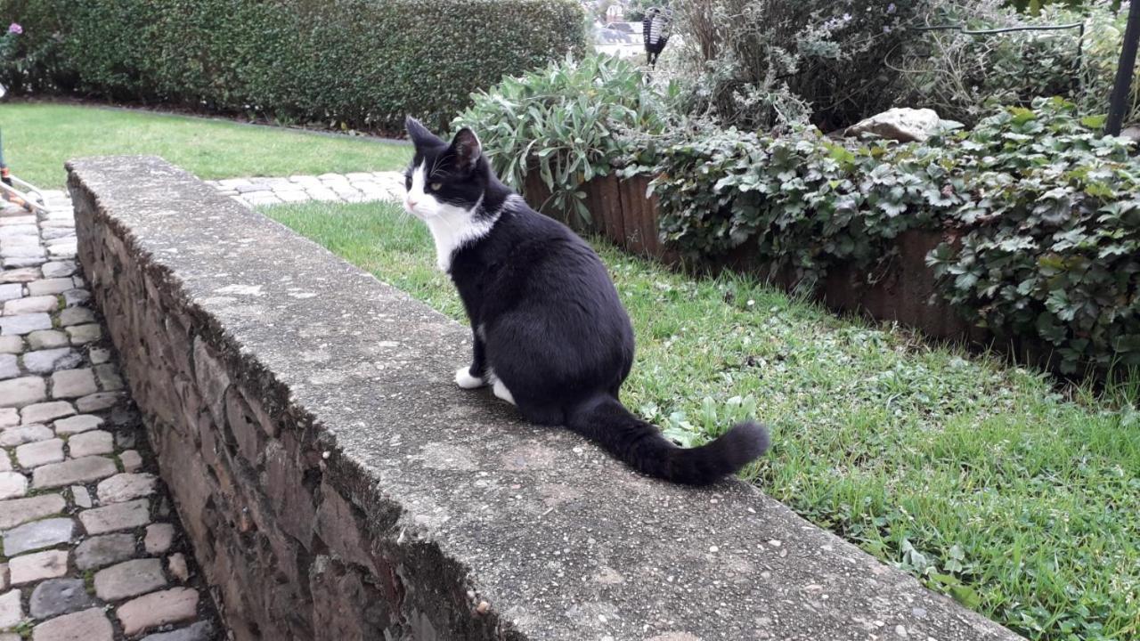 Le Petit Moussis Villa Stavelot Kültér fotó
